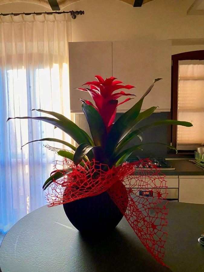 B&B Terrazza Sul Borgo モリアーノ エクステリア 写真
